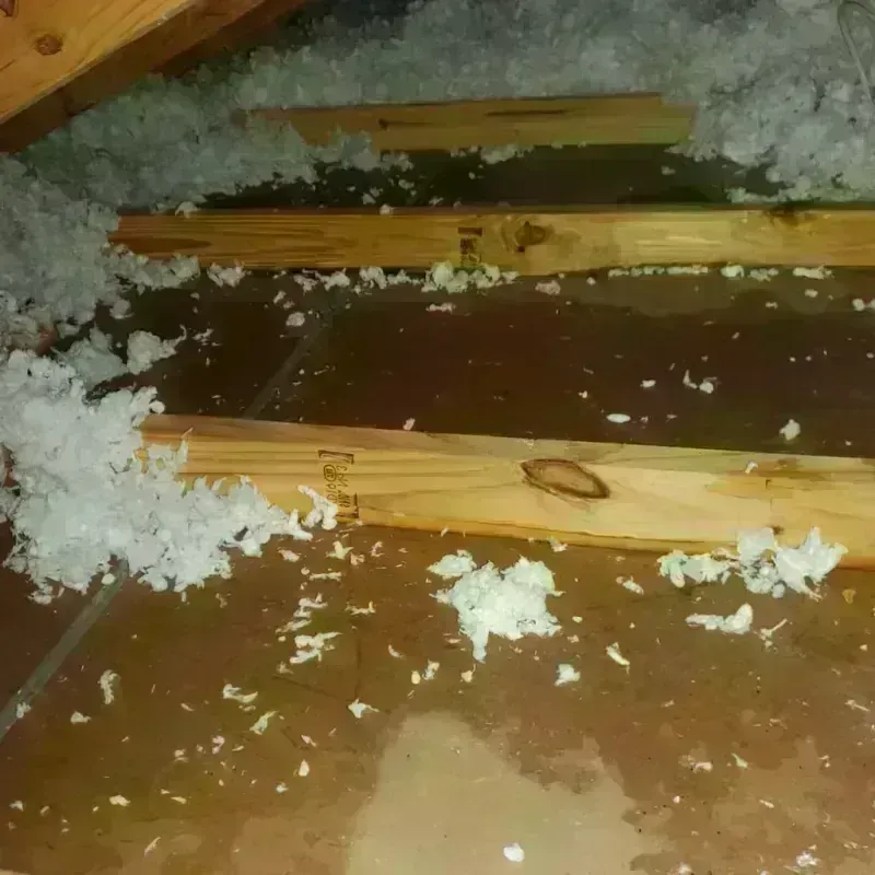 Attic Water Damage in La Grange, TX